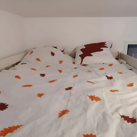 2 Pièces Entièrement Rénové