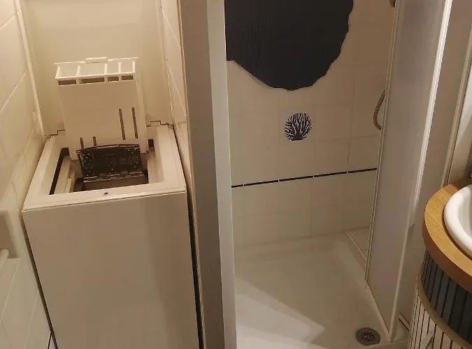 2 Pieces Entierement Renove Appartement